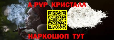 прущие крисы Кингисепп