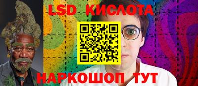 прущие крисы Кингисепп