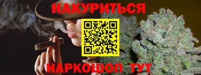 прущие крисы Кингисепп