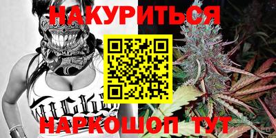 прущие крисы Кингисепп