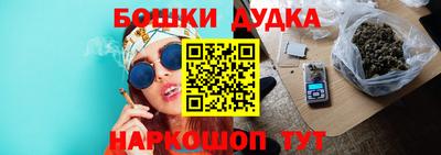прущие крисы Кингисепп