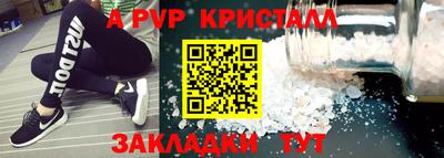 прущие крисы Кингисепп