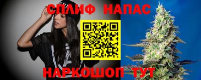 прущие крисы Кингисепп