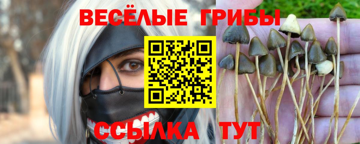 Ипатово  Галлюциногенные грибы Magic Shrooms  Вход с VPN 