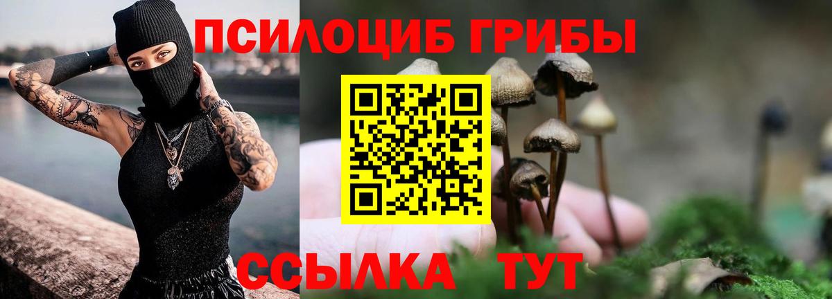 Псилоцибиновые грибы мицелий Ипатово